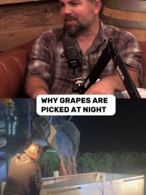 Why are grapes picked only at nighttime? 🍇 Our Director of Fruit Supply Matt Heil and @joethewinemaker explain!