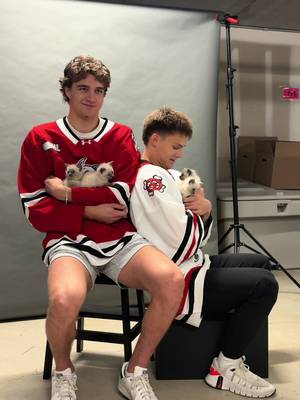 Putting the Dog in IceDogs 🥹 #NiagaraIceDogs #OHL #hockeytiktoks #dogsoftiktok 