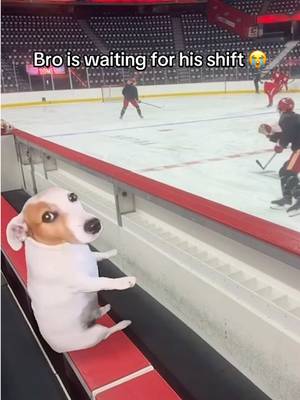 Newest member of the team 😤#calgaryflames #fyp #NHLFaceOff #meme 