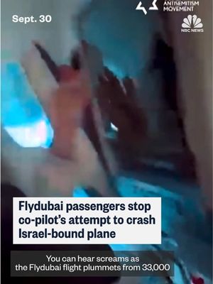 A pilot stabbed his co-pilot aboard a plane headed to Israel on Wednesday and may have tried to crash the aircraft with 174 people on board, Israeli Prime Minister Benjamin Netanyahu said. Passengers and crewmembers intervened to prevent the plane from crashing, Israeli officials say.