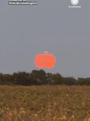 Hello, October! 🎃🌕 The Great Pumpkin has entered the chat.