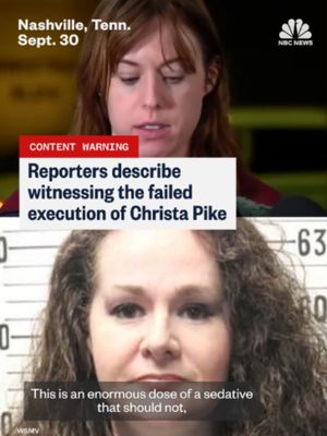 Reporters and media witnesses who were present during the failed execution of Christa Pike in Tenessee describe what they saw.