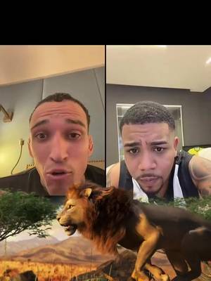 Leão anda com leão 