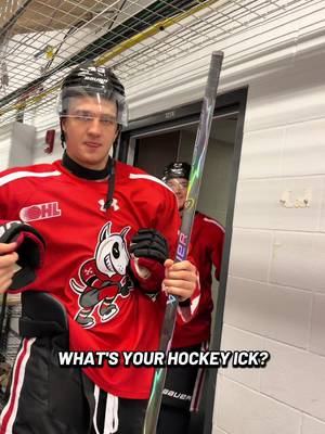 Do you agree with any of these icks🤢  #NiagaraIceDogs #OHL #HockeyTikToks 