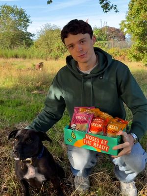 Safe to say dinner went down well!  Trying the new @lilyskitchenpetfood Fresh Recipes and someone’s obsessed 🐾 Available on their website now #Ad 
