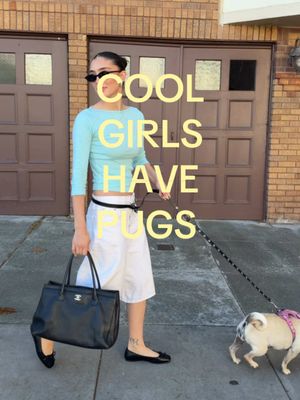 I don’t make the rules🤏 #pugs #pugtok 