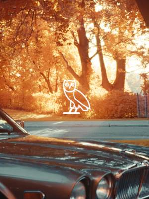 Fall 2026. OVO Season. #octobersveryown #ovo #fall
