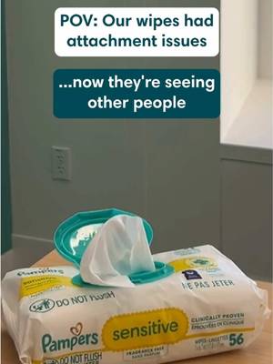 You wanted one wipe. Not the wipe, its roommate, its cousin and three close friends. So, we fixed it.