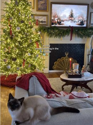 Are you excited for Christmas?!?🎄✨ guys we are ONE MONTH away from Christmas time I can’t belive it!!! Soaking in ever moment of spooky szn and fall though🕯️ #christmas #christmastime #holidayseason #christmascountdown #morning 