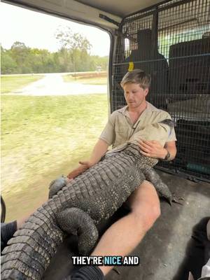 A new home for one of our Gators! 