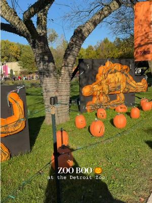 Zoo Boo time at the @DetroitZoo 🎃 + baby Evvy’s first time at the zoo 🥲 #zooboo #detroit #detroitzoo #zoo #halloween 