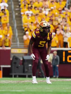 this INT 🤯 Aydan West on the sideline! #RTB #SkiUMah #Gophers