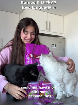 my love language? keeping their little bowls full and their little hearts happy @Whiskas  #purradise #catmom #ad 