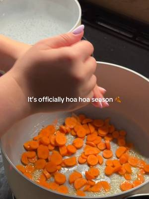 When the weather starts to feel like you should make soup and have a Twilight marathon. #carawayhome #hoahoa #twilighttiktok #soupseason #fall