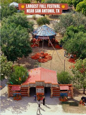 🎃 LARGEST fall festival near San Antonio! 🍂 Devine Acres Farm has 40+ acres of fall fun with 50+ attractions, including their NEW Mega Slide! 🛝 Pumpkins, apple cider donuts, flower fields, hayrides, live music, farm animals, food, drinks + SO much more! 🤠 📍 @Devine Acres Farm- SATX Events  #devineacresfarm #satx #fallfestival #sanantoniocheck #sanantoniotiktok 