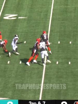 His ankles playing with Ocho rn #Fyp #nfl #football 