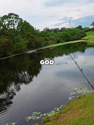 WHAT MONSTERS ARE LURKING IN THIS POND⁉️⁉️ • • #fishing #fyp #pondfishing #tarpon #snook 