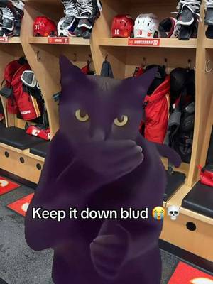Bro is just excited 🤧 #calgaryflames #fyp #meme 