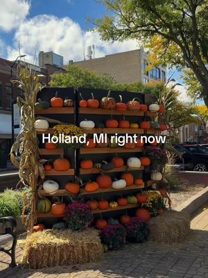 Fall is in the air 🌬️🍁 Holland is looking so cute right now and leaves are just starting to turn downtown!  p.s. - usually trees along the lakeshore change a week after anywhere inland. Colors are just starting to show in the lower peninsula in a lot of places but there’s still plenty of time to see peak colors in the next few weeks! #hollandmichigan #puremichigan #michiganfall  Fall color update holland Michigan | places to go in Michigan this fall | Michigan fall travel | Michigan fall bucket list | holland Michigan 