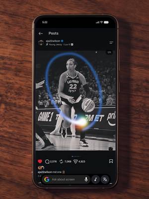 Want to know why 5-time MVP @A’ja Wilson is the 🐐...just circle to search for the receipts.