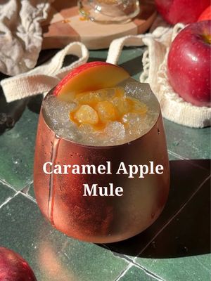 Caramel Apple Mule .5 oz fresh lime juice 2 oz caramel vodka 2 oz apple cider 2 oz ginger beer Pinch of sea salt Shake everything with ice, then strain into a copper mug and garnish with an apple slice and a caramel drizzle. #caramelapple #mule #fallcocktails #cocktailrecipes 