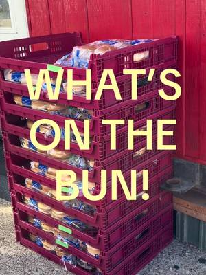 What’s on the bun!? Check out booth 40 in Support of the River Bend Association at the West Side Nut Club Fall Festival and enjoy a French Dip Sandwich on Lewis Bake Shop Buns! ❤️