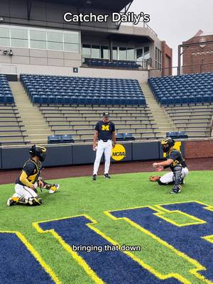 Catcher Daily Drills. Quick and Easy.  #baseball #practice #catching #michigan #development 