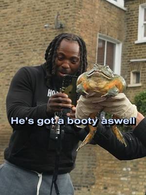 Big booty frog, what animal is next? 🐸