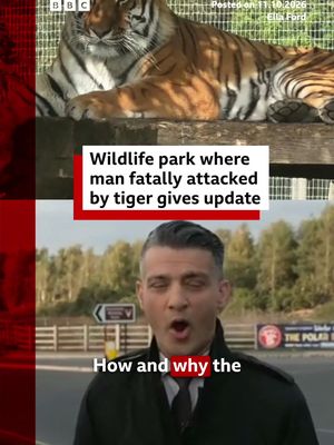 Yorkshire Wildlife Park remains closed after a man climbed into a tiger enclosure and was fatally attacked by the animal. #Yorkshire #Doncaster #YorkshireWildlifePark #BBCNews