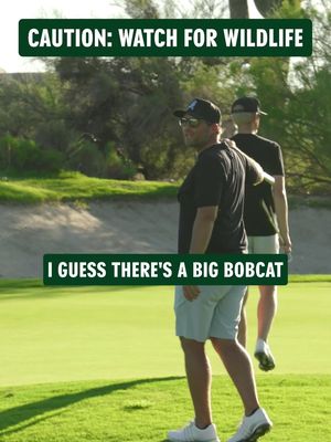 Not your average bunker hazard. Go watch the full match between the New York Blue Birds and the @Las Vegas Action on our @YouTube channel now! #golf #golftiktok #match #youtubegolf 
