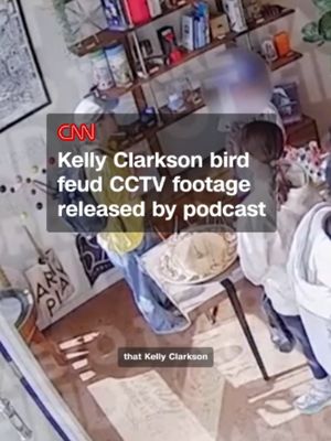 Surveillance footage from Kelly Clarkson’s dispute at a toy store in Brooklyn has been released. The footage was exclusively obtained by podcast “Pablo Torre Finds Out.” It comes after Clarkson’s tweet about the incident – apparently involving a $15,000 mechanical bird called Molly - went viral, where she said the shop treated her like she couldn’t afford it. The store has offered a different version of events. The CCTV footage is mute and it’s not clear how it was obtained. #KellyClarkson
