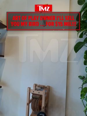 🚨🐤 After allegedly insisting to Kelly Clarkson that Molly the singing bird wasn't for sale, Art of Play is singing a different tune ... the art installation is now on sale ... with a $15 million price tag.