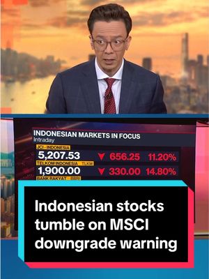 Indonesian #stocks suffered their worst rout in nearly three decades after #MSCI warned the country’s emerging-market status was in jeopardy. David Ingles and Stephen Engle report. #Indinesia #markets #business 