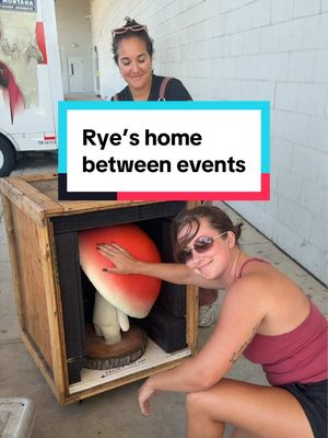 We love you Rye 🧡🧡 