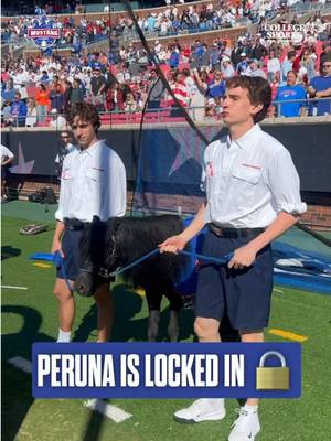 The one and only Peruna is DIALED 😤 • • • • #PonyUp #PonyUp🐎 #SMU #SMUFB #Dallas  @The College Sports Company @SMU Football @SMU Spirit 