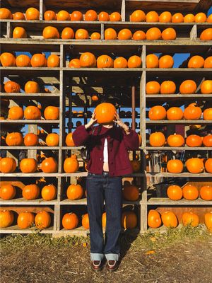 Me & my little pumpkin 🥹🎃🍁🍂 This time next year we’ll be back but with a 7month old 🥰🎀 So adorable seeing parents taking pictures with their little ones 😭 I’ve always loved this time of the year and I’m excited for how magical we can make it year after year with our own family 💗 #pumpkinpatch #pregnant #pumpkin #falloutfit #lowrisejeans 
