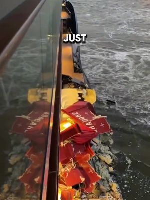 A cruise ship just crashed into two cargo ships. 🤯 Mein Schiff 3 was beginning its voyage when the weather took a turn and a powerful gust of wind forced the ship to collide with two cargo ships.  No injuries have been reported and the cruise has been cancelled. #cruise #cruiseship #crash #fyp #ship_facts 