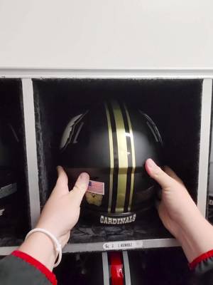 These helmets > ⚜️ #asmr #build #gocards #fb 
