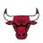 chicagobulls
