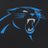 Panthers