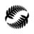 NZ_Football