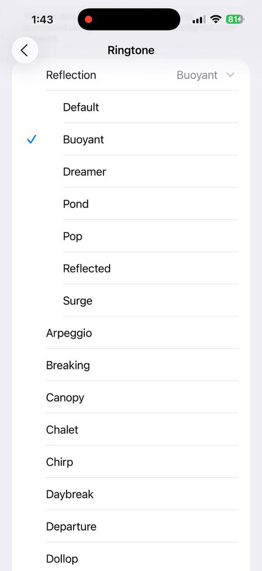 Apple had no business going THIS HARD with the new "Dreamer" ringtone!! 🔥

(iOS 26 Beta 6) 