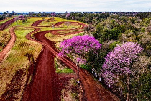 Stages sittin' pretty 🤩

#WRC | #uenoRallyDelParaguay 🇵🇾 