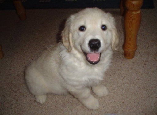 it’s september 