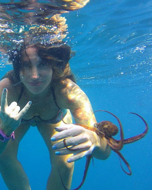 Made some really cool friends when I went to Oahu.
The friends in question:
https://t.co/IGDsHgD2W5 