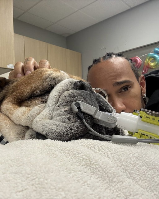 Thanks so much for the love and support. Please keep Roscoe in your thoughts and prayers 