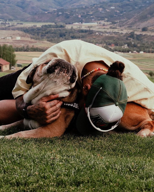 Lost my best friend last night. Thank you all for the love you’ve shown him over the years. Roscoe forever. 