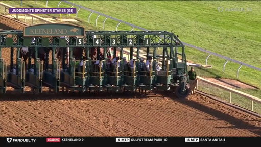 😲 #4 GIN GIN ($38.64) holds off Nitrogen in the @LanesEndFarms @BreedersCup WAYI 🏆 $650,000 @JuddmonteFarms Spinster Stakes (G1) at @KeenelandRacing. This is the first Grade 1 win for the @CalumetFarm homebred filly by Hightail. @luissaezpty was aboard for @brenpwalsh. 
