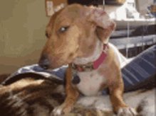 @FanDuel 