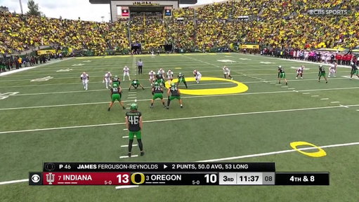 Fake Punt Punt! This is the future  